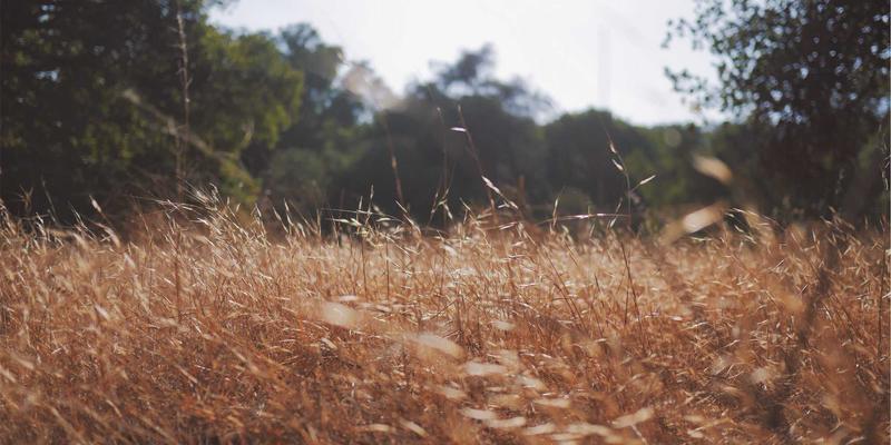 点亮未来，守护品质：LED组装线常见缺陷与高效质量控制策略